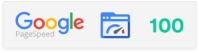google-page-speed